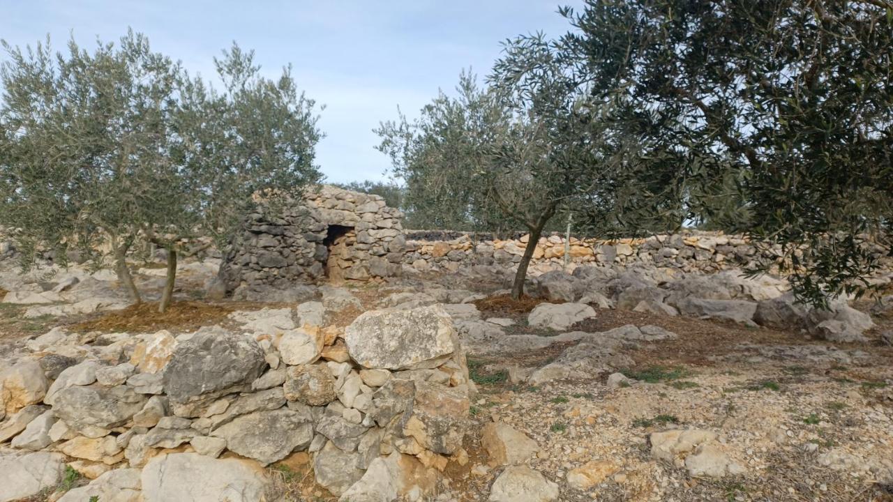 3Natura Avinyonet de Puigventós Dış mekan fotoğraf