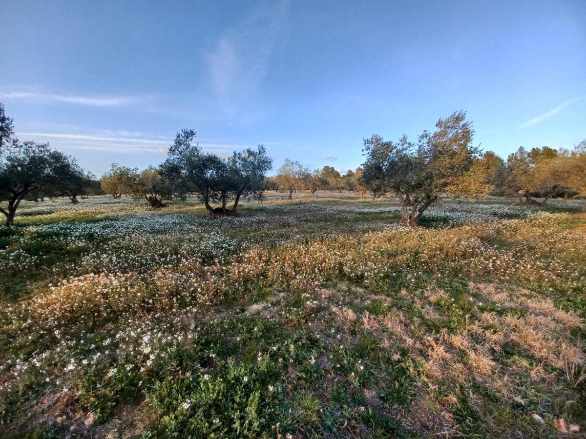3Natura Avinyonet de Puigventós Dış mekan fotoğraf