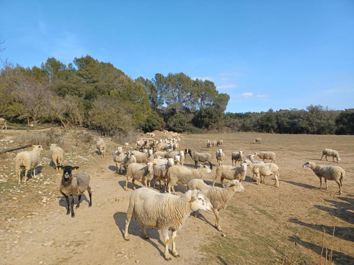 3Natura Avinyonet de Puigventós Dış mekan fotoğraf